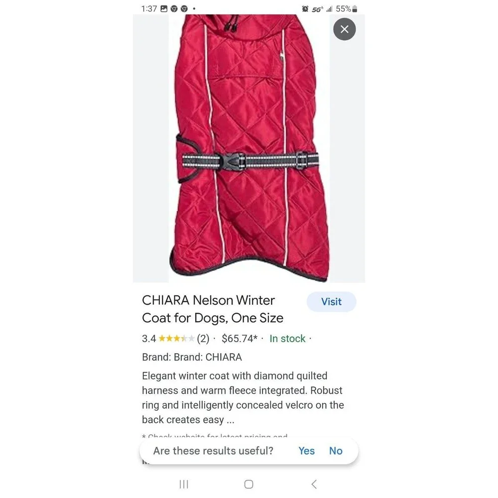 Chaira Nelson Large Winter Coat for Dogs